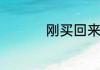 梦见极光有什么特别寓意