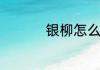 银柳怎么插成花束好看