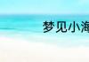 梦见小海湾是什么意思