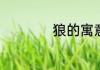 狼的寓意和象征意义