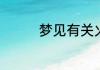 梦见有关火的梦什么寓意
