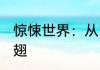 惊悚世界：从富江到恐怖之神 香酥鸡翅