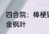 四合院：棒梗毁我诺贝尔文学奖 天榜金枫叶