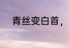 青丝变白首，一生偏爱 旷世无忧