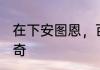 在下安图恩，百兽海贼团第七使徒 罗奇