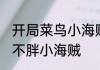 开局菜鸟小海贼的我，揍了凯多 干吃不胖小海贼