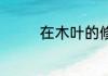 在木叶的修真者 银毛赛高
