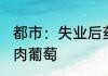 都市：失业后药神身份要被暴露了 大肉葡萄