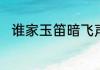谁家玉笛暗飞声的暗飞声什么意思