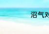 沼气对人体的危害