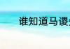 谁知道马谡失街亭的故事梗概