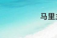 马里兰是哪里