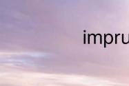 imprudent造句