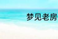 梦见老房子代表了什么