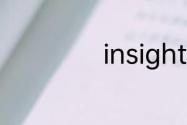 insight是什么意思