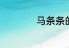 马条条的意思是什么