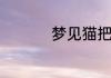 梦见猫把老鼠咬死吃了