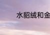 水貂绒和金貂绒有什么区别