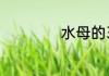 水母的3种做法介绍