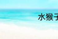 水猴子长什么样