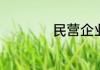 民营企业是什么意思