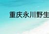 重庆永川野生动物园夏天好玩吗