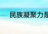 民族凝聚力是综合国力的支柱吗