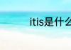 itis是什么意思itis的翻译