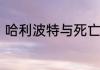 哈利波特与死亡圣器第二十九章概括
