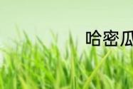 哈密瓜汁的做法