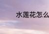 水莲花怎么养怎么养水莲花