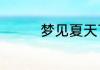 梦见夏天下雪是什么意思