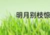 明月别枝惊鹊中别枝的意思