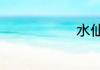 水仙花的寓意