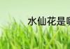 水仙花是哪个季节开花的
