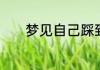 梦见自己踩到屎了预示着什么