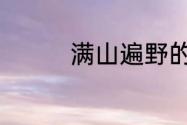 满山遍野的近义词有哪些