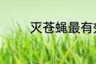 灭苍蝇最有效的方法有哪些