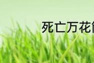 死亡万花筒讲的是什么