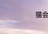 猫会杀主人吗