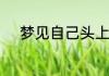梦见自己头上有虱子是什么意思