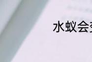 水蚁会变成白蚁吗