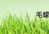 毛蠓怎么去除