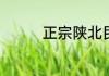 正宗陕北民歌大全在哪找