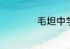 毛坦中学学费是多少