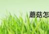 蘑菇怎么种植方法