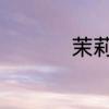茉莉花花语是什么意思