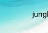 jungle什么意思