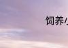 饲养小狗的方法