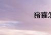 猪獾怎么取骚味